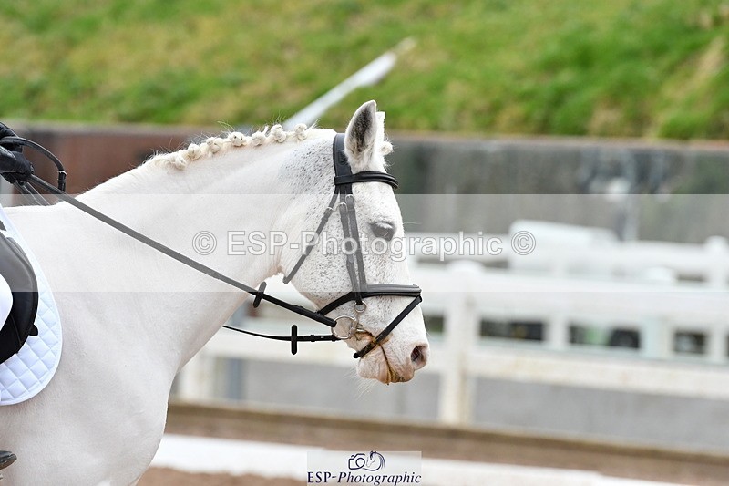 231217A-111504-00278 - Quest Classes