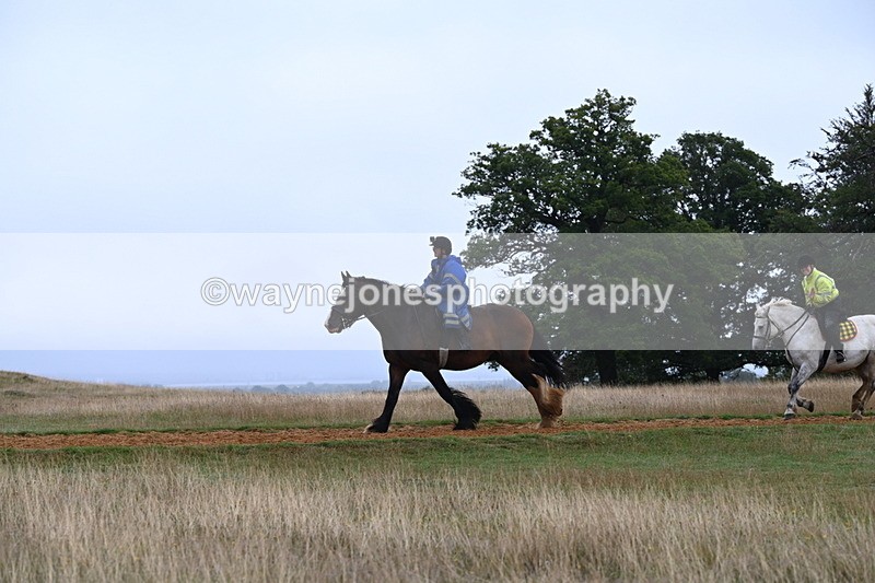 DSC_2250 - Time at Statue 12:34 to 12:56