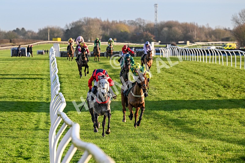 161225-Race 5-Somebodycomegether-8846 - Race 5