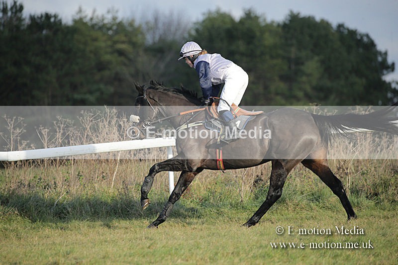 PtP 011219-0276 - Hursley Hambledon Hunt Point-to-Point 01/12/19