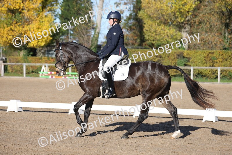 20251102-0402 - Class 3 - Novice 5