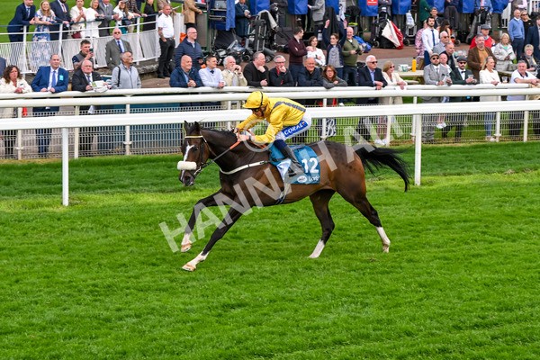 150524-Race 7-Dancing In Paris-4744 - Race 7 5.20pm Stuey Weston & Friends Getting Out Handicap