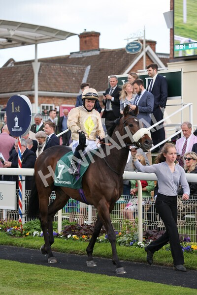 yr11052022r5-13 - Race 5 4.10pm Paddy Power 'Here For The Craic' Stakes