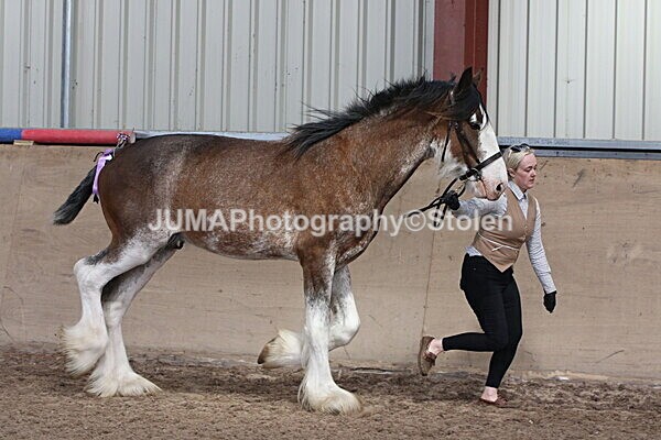 SIAL0178 - Indoor Classes