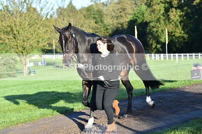 231022-091244-21620 - 671-KILCLOGHER.DAWSON-Lucy.Griffiths-TrotUp+SJ