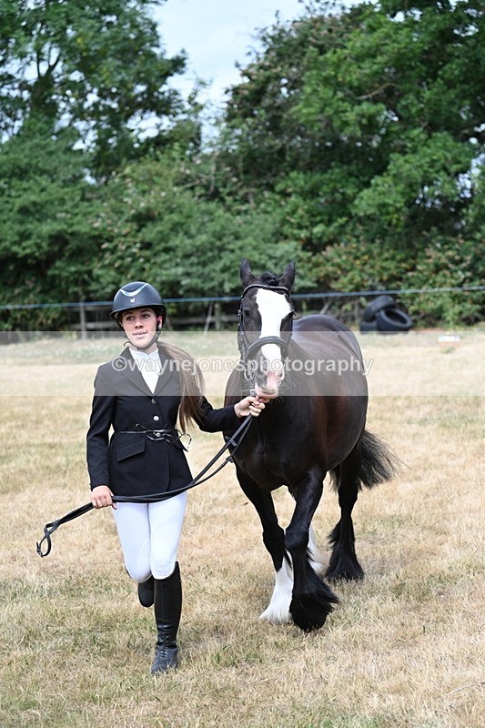 WJ7_1673 - Class 4 Prettiest Mare up to 14.2hh in hand