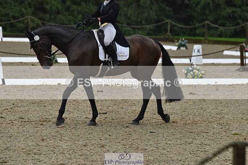 231018-154634-00879 - 012-ROMANY.CRICKET-Nana.Dalton-DR