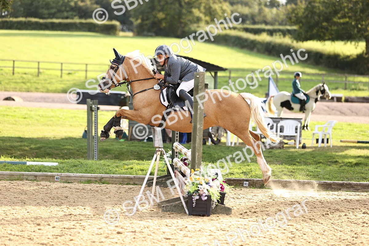SBM_52993 - J10 - Junior Pony 75cm Championship