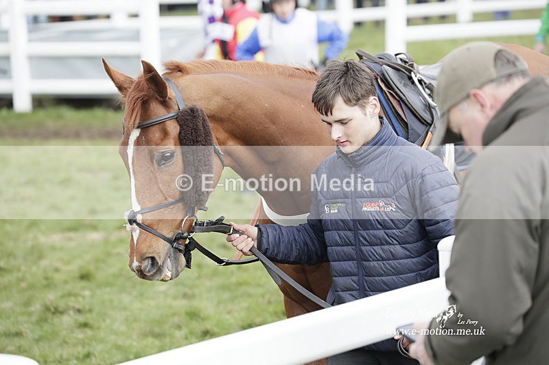 PtP 260323 0873 - New Forest Hounds Point-to-Point Larkhill 26/03/23
