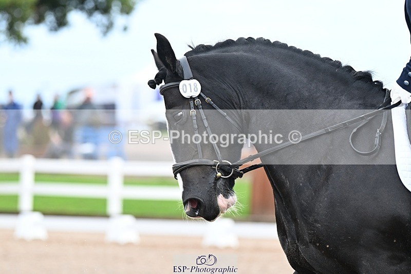 250907-112654-07214 - 018-Kathy.WhiteMilly.111