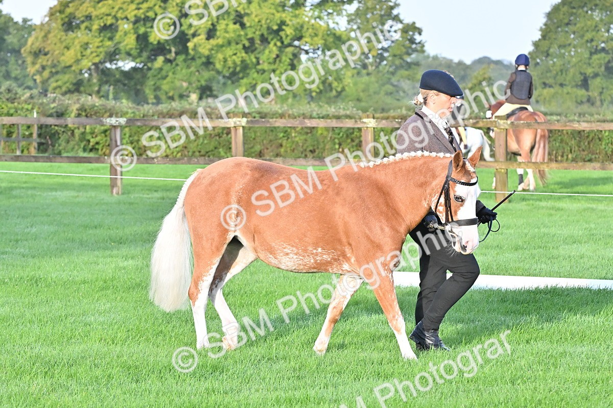 SBM_32553 - S15 - Top Turnout In Hand