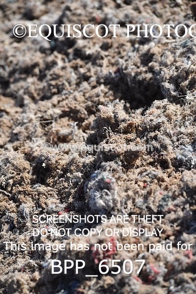 BPP_6507 - CLASS 11 SUN Liz Fox Royal Highland Show JD/JC Championship Qualifier
