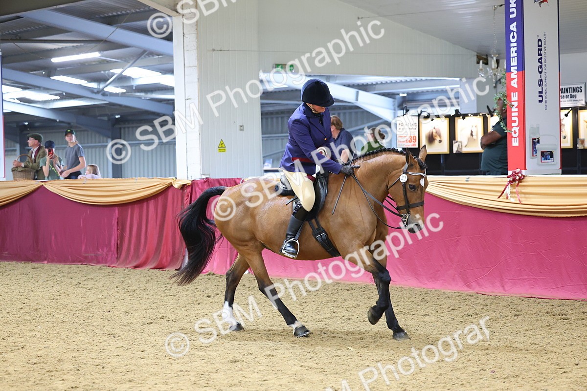 SBM_24223 - Class 905 - Supreme Final - Ridden Veteran