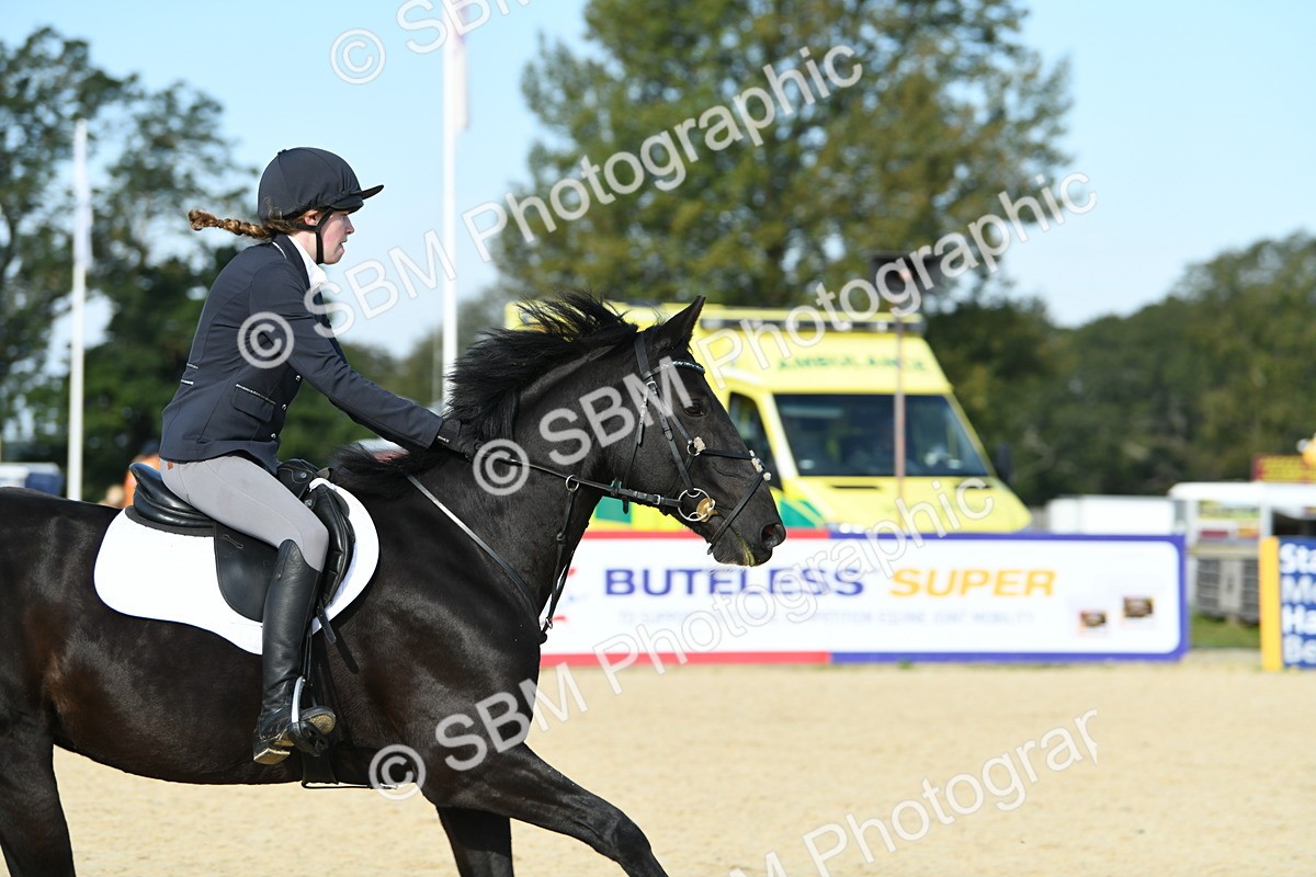 SBM_60578 - j25 - Junior Horse 80cm Championship