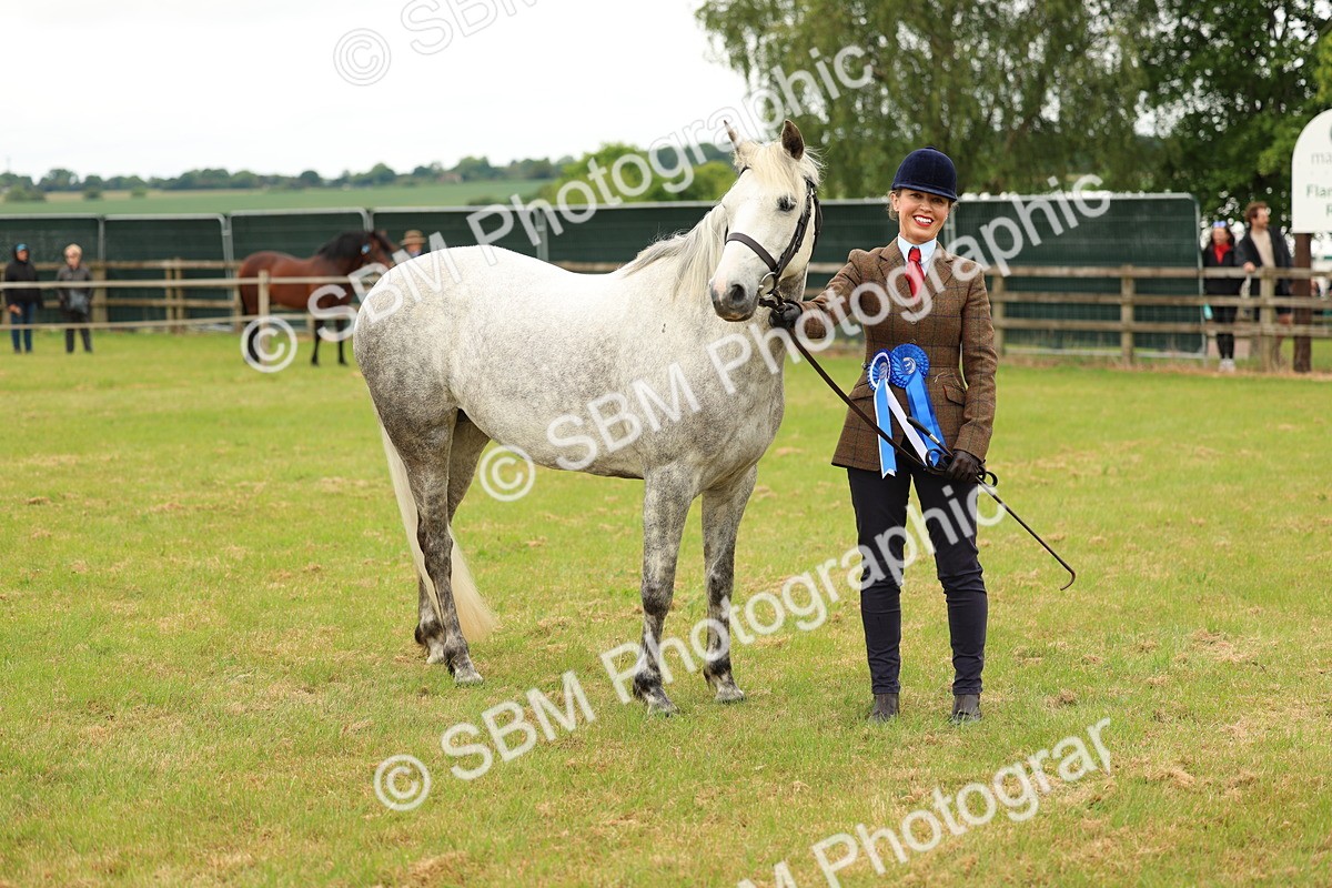 SBM_04292 - Class 64-67 - Shetland Pony In Hand
