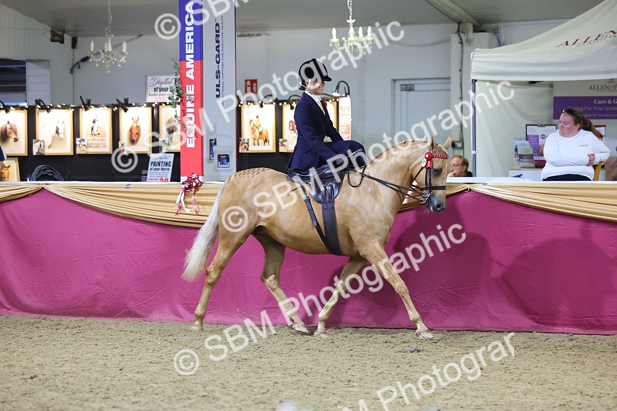 0B8A4252 - Class L Side Saddle Champ