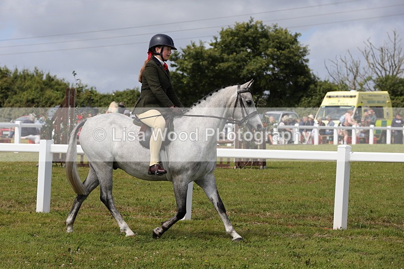 1X9A3970 - Class 32: Show Hunter Pony 153cm and under
