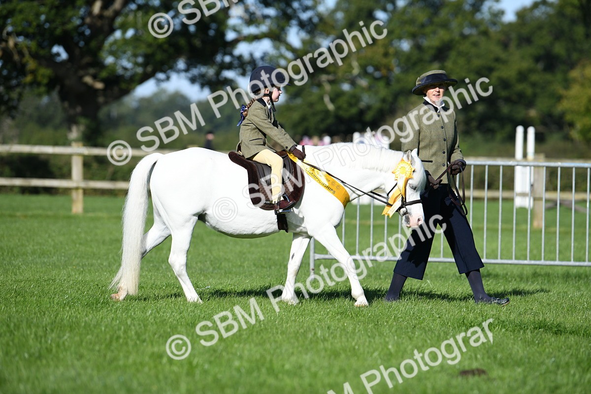 SBM_35545 - Top Turnout Supreme Championship