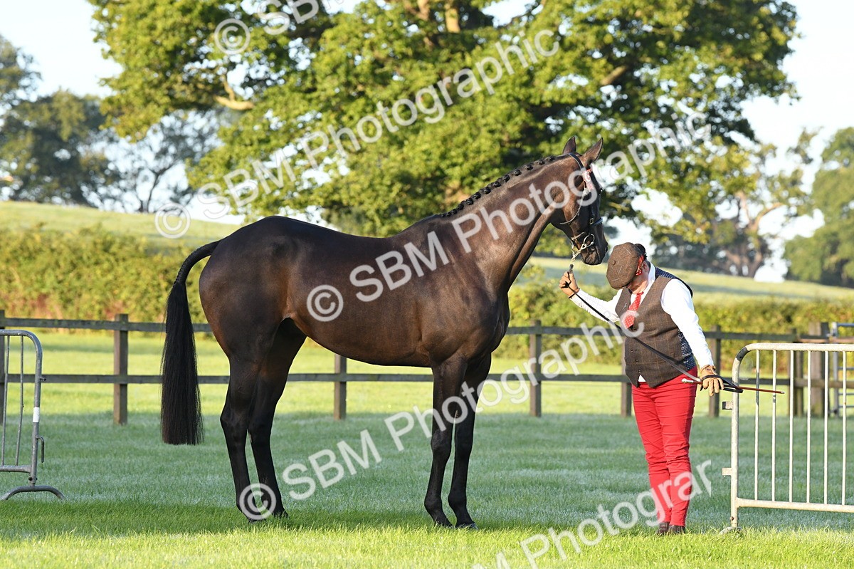 SBM_32506 - S15 - Condition & Turnout In Hand