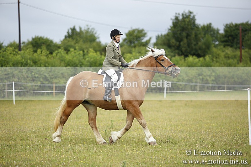 BVR160717-251 - Ring 1 BVRC Show 16/07/17