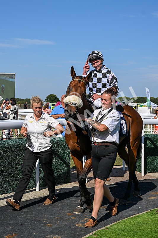 120826-Race 4-Glenfinnan-7689 - Race 4 15.45pm Jill Willows Handicap