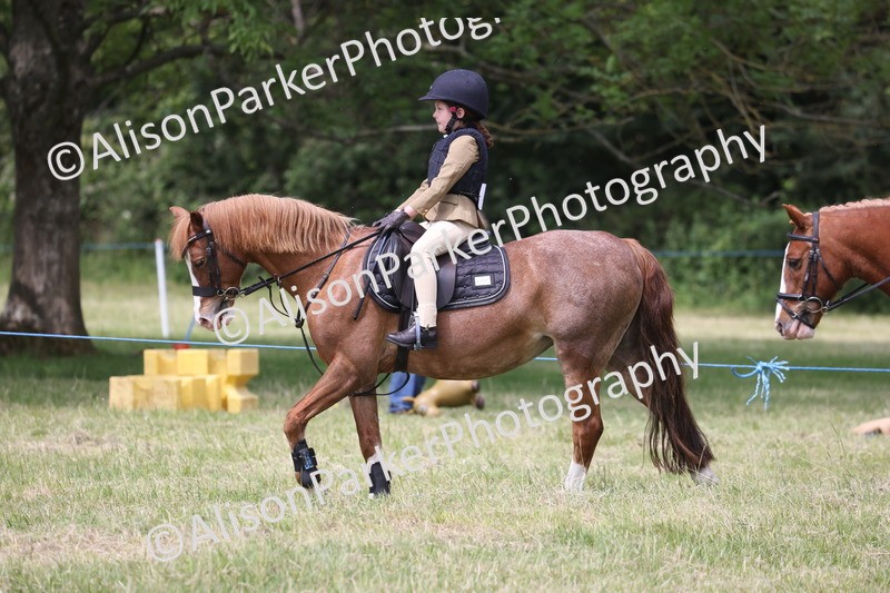 20260614-2118 - Class 21 - Novice Working Hunter Pony