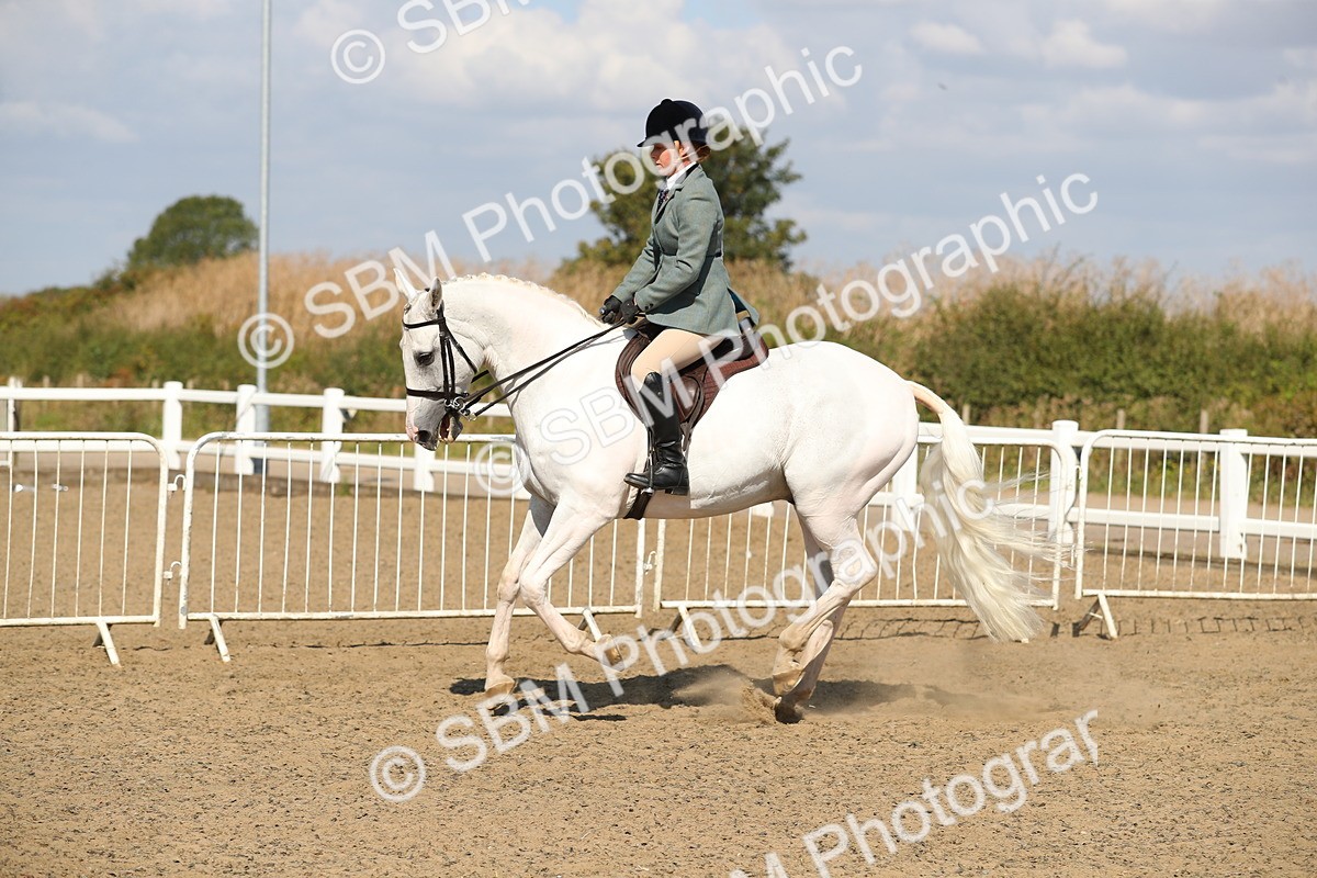 SBM_03160 - Class 44 Riding Club Horse/ Pony