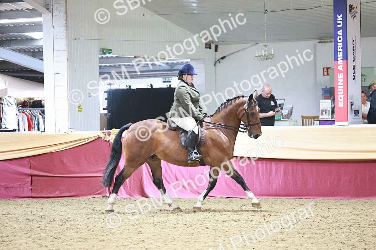 SBM_08213 - Class 11R - Regional Ridden Veteran