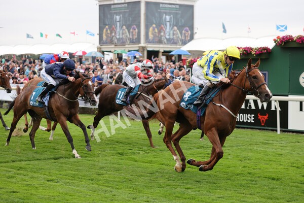 yr22072022r3-52 - Race 3 6.20pm Tomahawk Stakes