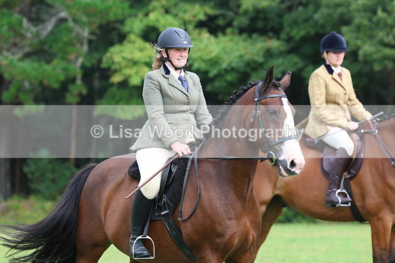 3E7A5912 - Class 26 and 27: 70cm Working Hunter