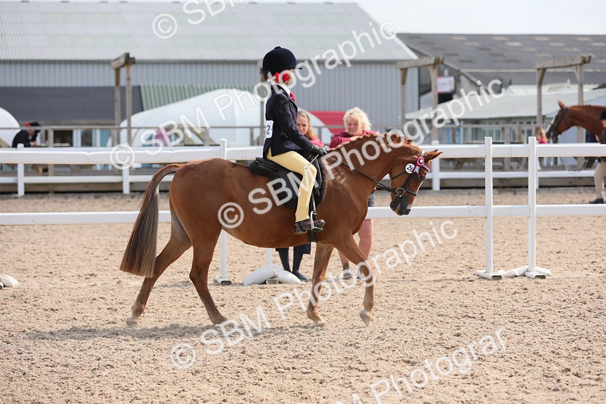SBM_14679 - Class 310 First Ridden Pony