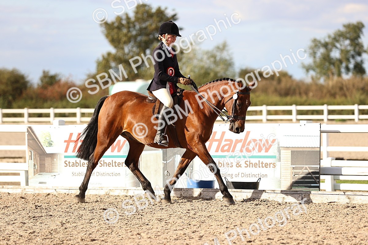 SBM_18295 - Class 423 - Equitation (best rider) Adult