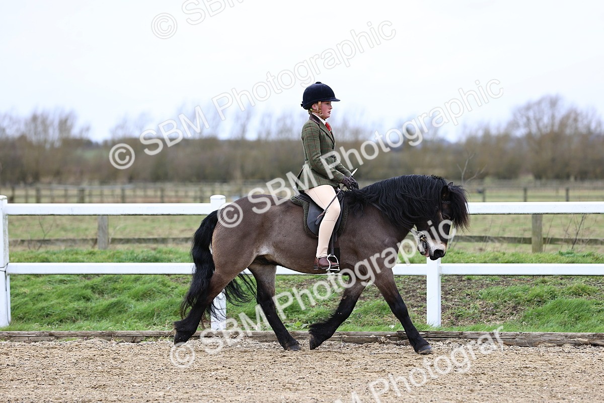 SBM_006746 - Class 29 - 30 - M&M Pure Novice Small-Large Breeds