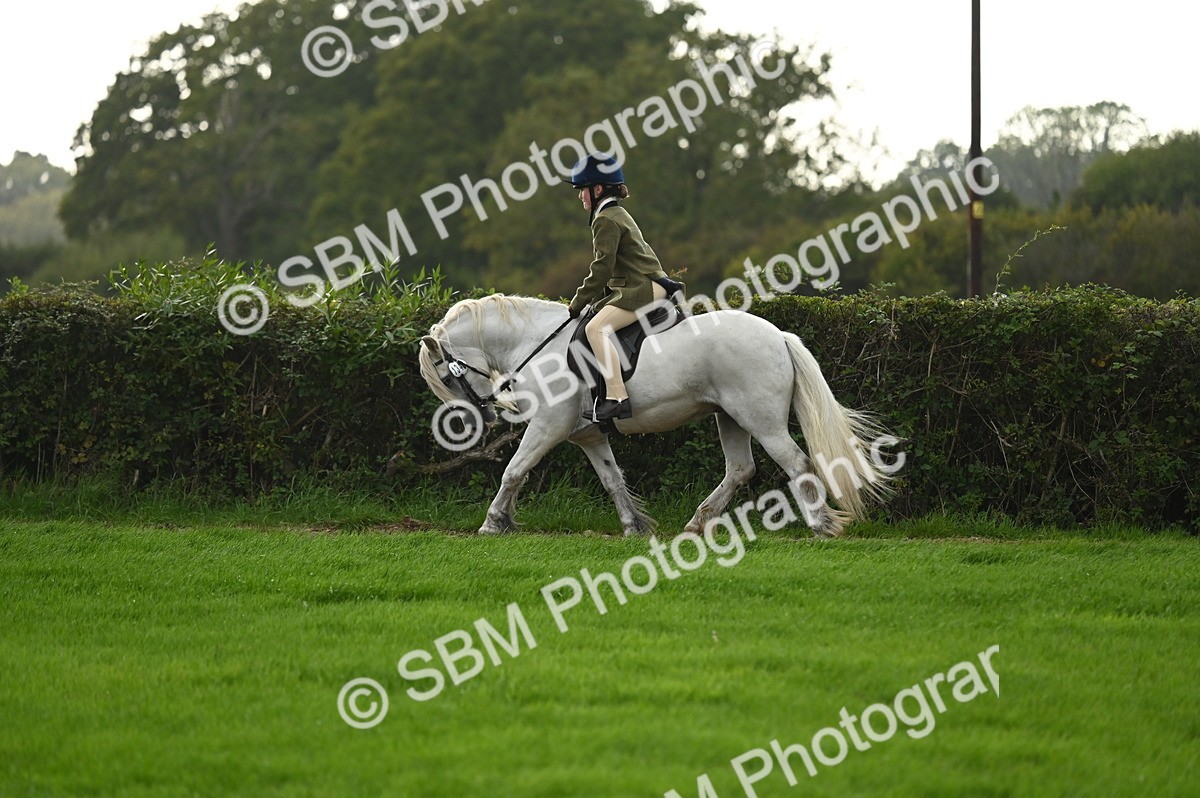 SBM_26629 - S7 - Novice & Newcomer Ridden Pony