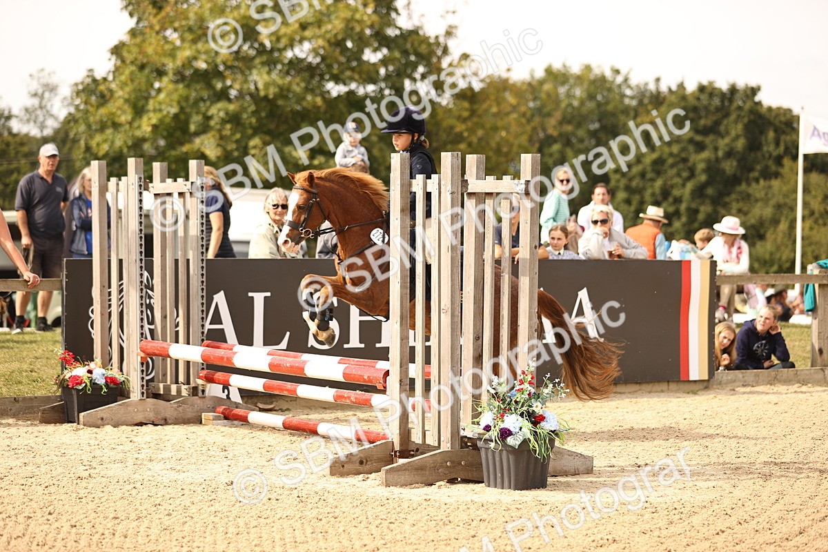 SBM_66838 - J13 - Junior Pony 60cm Championship