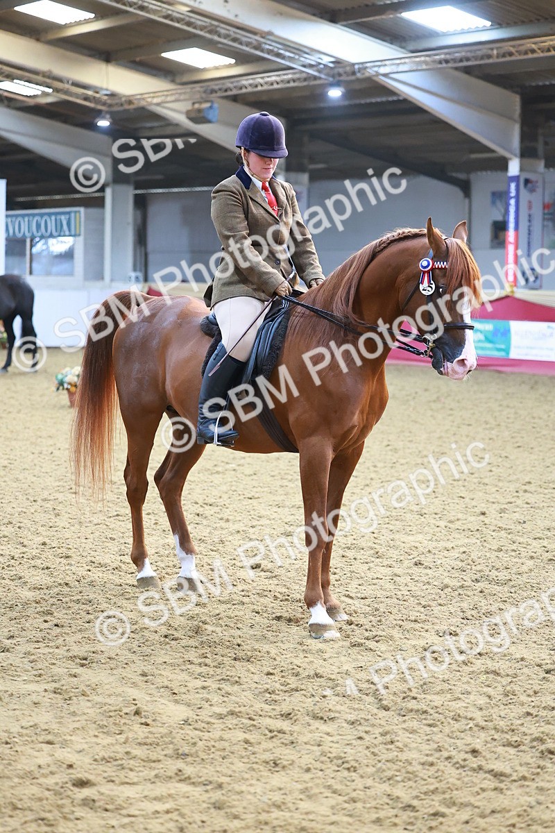 SBM_07689 - Class 101 - HOYS Veteran Qualifier - Ridden Diamond