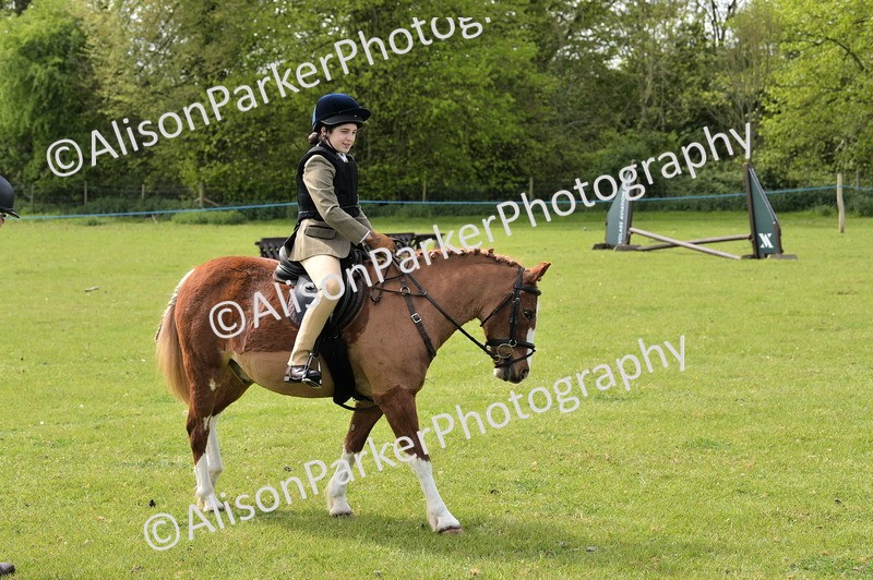 20260426-2291 - Class 20 - Beginner Working Hunter