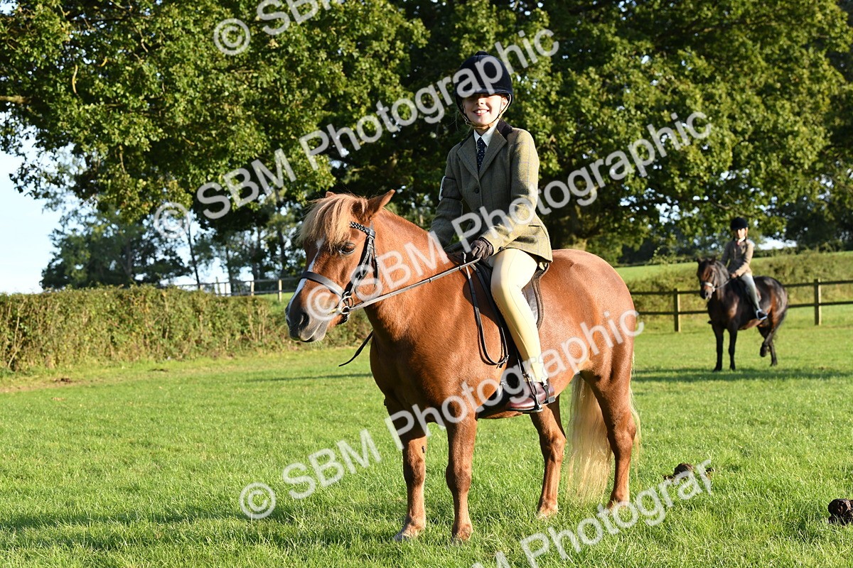 SBM_54146 - S23 - 1st Ridden Mountain & Moorland Pony