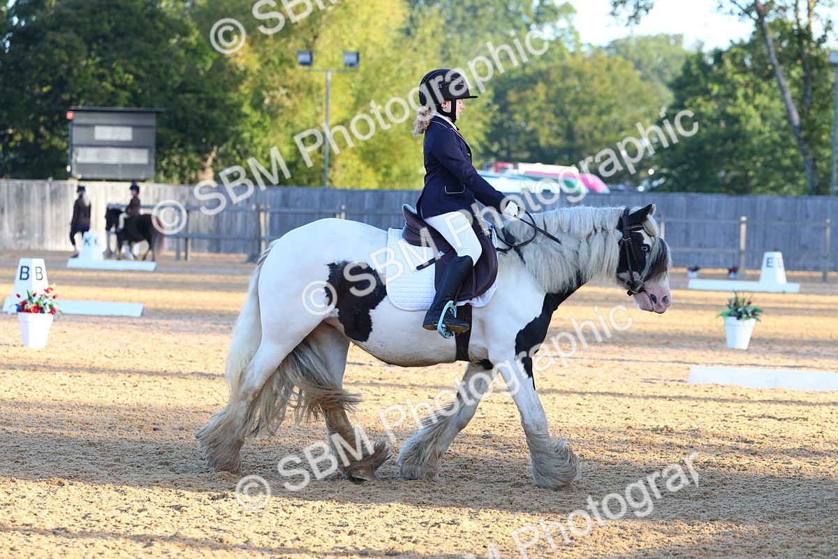 SBM_33414 - D26 - Test Starter Test 1