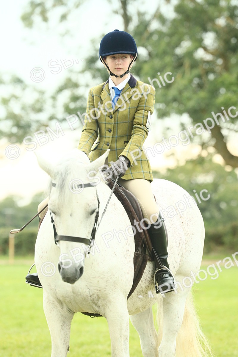 SBM_72257 - S60 - Mountain & Moorland Ridden Large Breeds