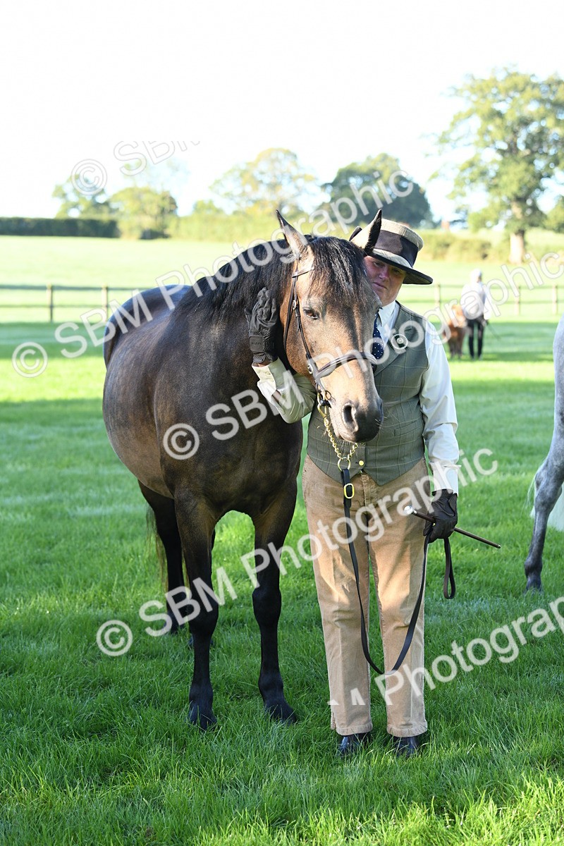 SBM_32819 - S15 - Condition & Turnout In Hand
