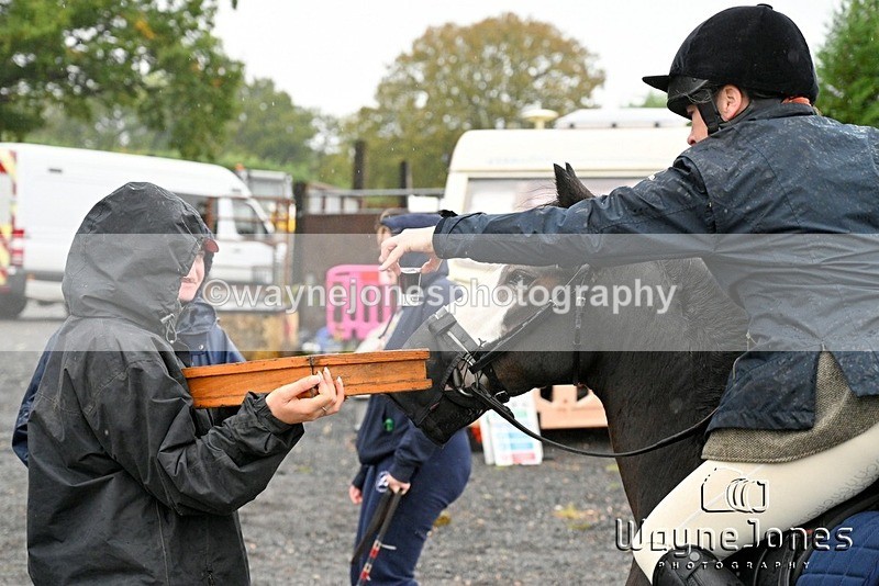 WJ7_7916 - Berks & Bucks Blackcroft Farm 20-10-24