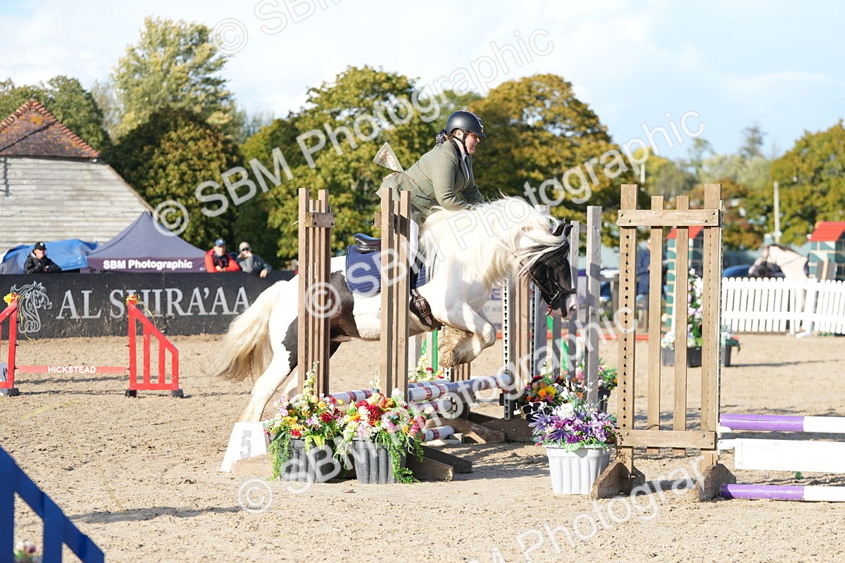 SBM_28974 - J43 - Horse & Hound Open 50cm