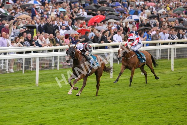 150723-Race 1-Blue For You-8746 - Race 1 2.00pm John Smith's Racing Handicap