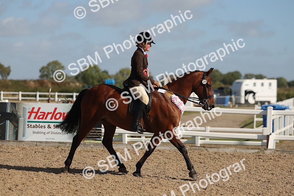 SBM_22649 - Class 804 - Ridden Veteran Pony