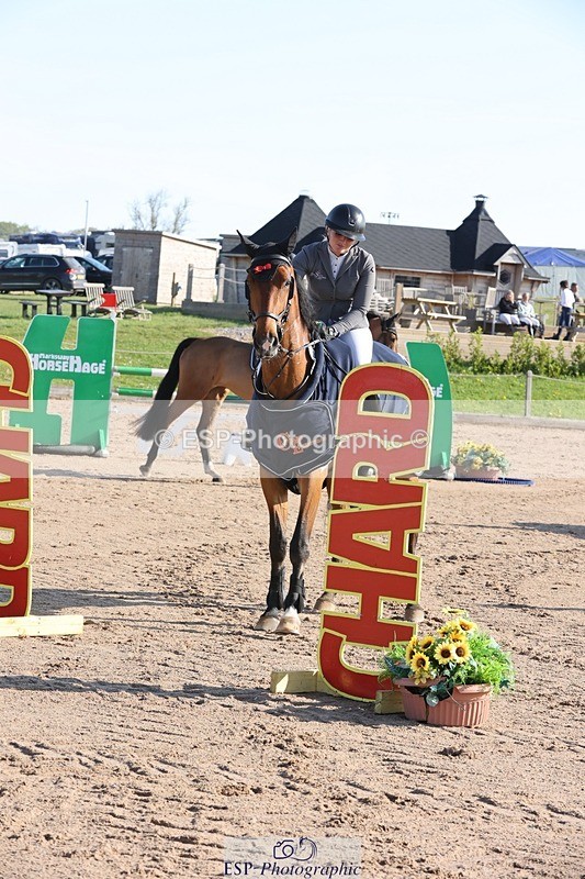 250427-090608-14738 - Cls 28 Young Horse 5yr old