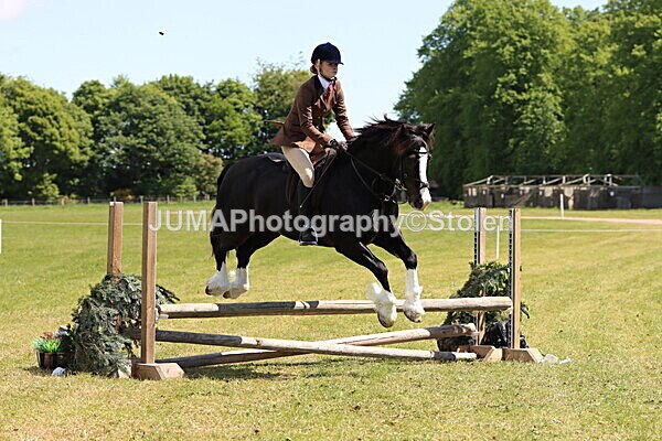 IMG_3686 - Working Hunter
