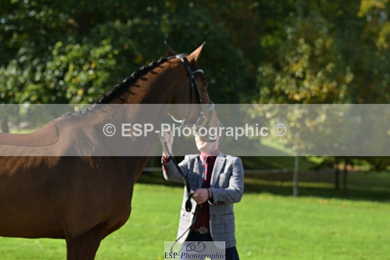 241023-130044-00014 - 013-Cameron.Beer-GREENLANES.LE.BAMBALOU