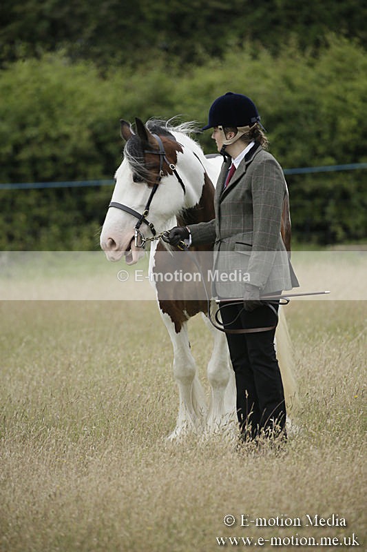 B230619-0057 - Bourne Valley Riding Club Summer Show 23/06/19