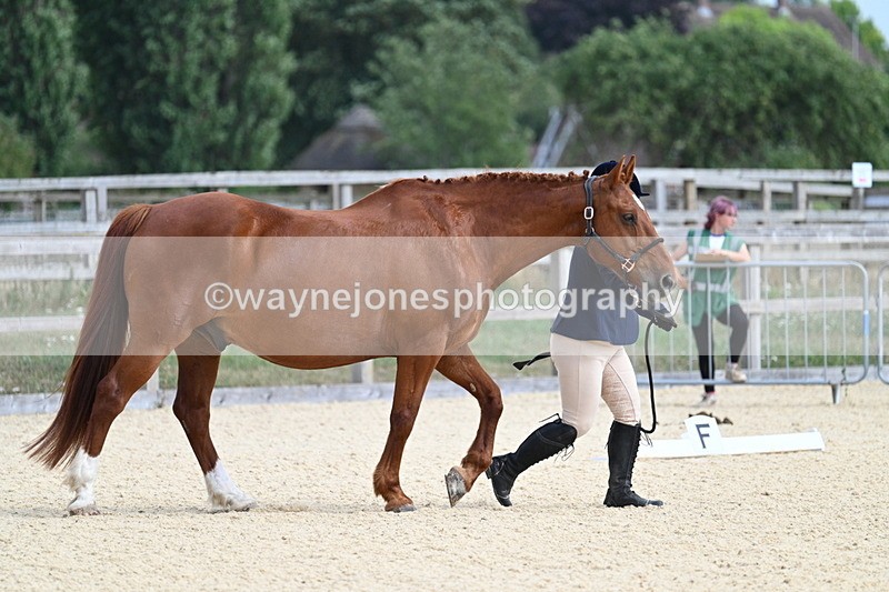 WJ7_1955 - In Hand